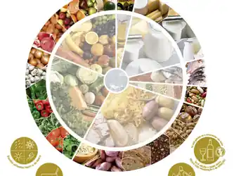 Infância: O que nos diz a Roda dos Alimentos?