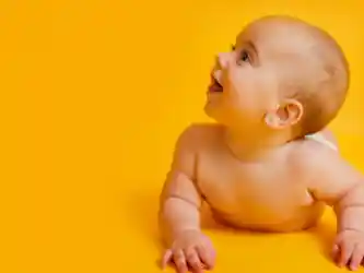 Nutrição no 1º ano de vida