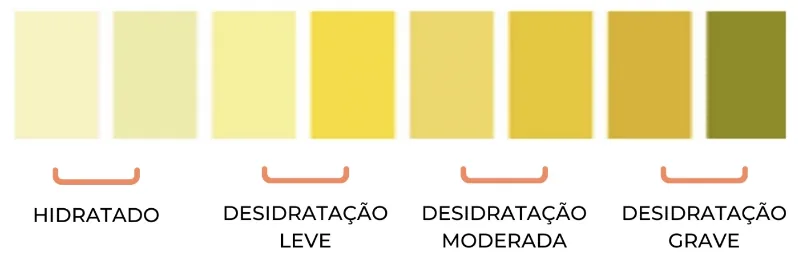 Chegou o calor: quanta água devemos beber? — Crescer com Sabor (3)